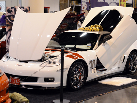 CarShow5